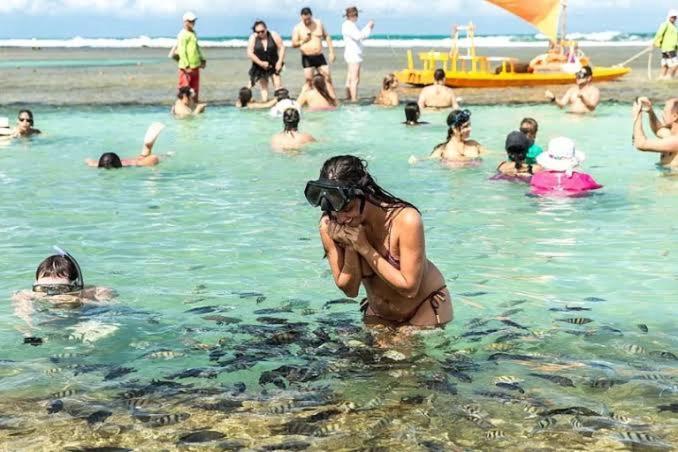 Beach Class Muro Alto Resort Pôrto das Galinhas المظهر الخارجي الصورة